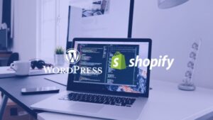 website development